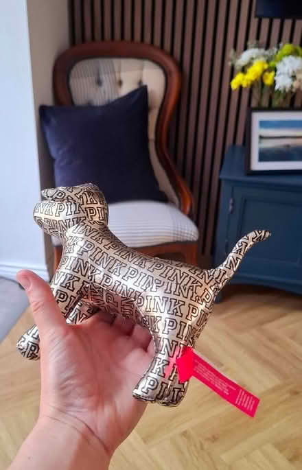 Photo of free Stuffed 'Pink - Victoria's Secret' toy dog (Boughton Monchelsea ME17) #3