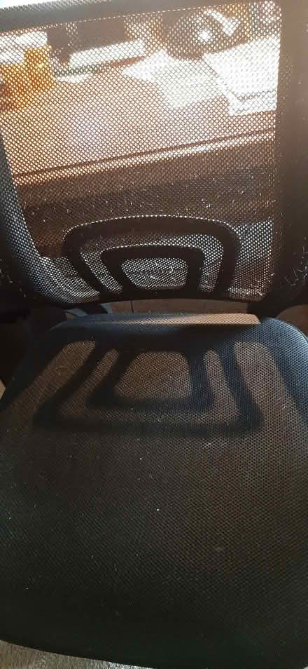 Photo of free Mesh chair (Farmington Hills) #1
