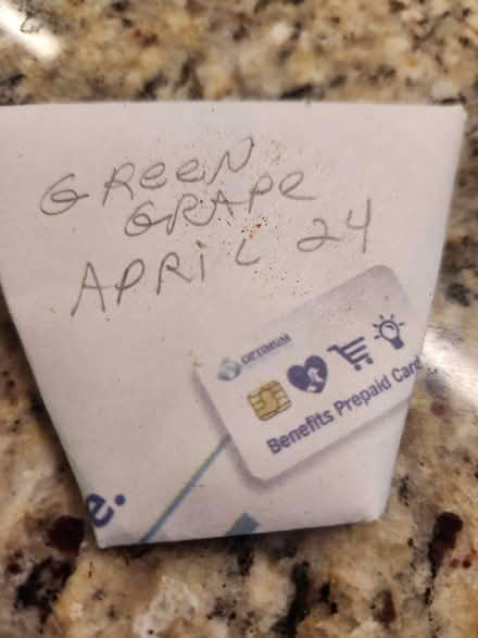 Photo of free Green grape tomato seeds (Palm Harbor 34683 CR1 Tpa Rd) #1