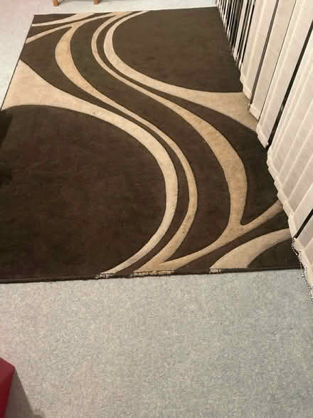 Photo of free Large rug (OX44UE OX4) #1