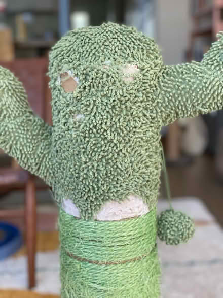 Photo of free Chewy Cactus Cat Scratcher 31” (Nob Hill, San Francisco, CA) #3