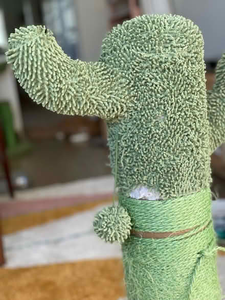 Photo of free Chewy Cactus Cat Scratcher 31” (Nob Hill, San Francisco, CA) #2