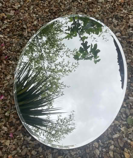Photo of free Large oval mirror (Shrewsbury SY1) #1