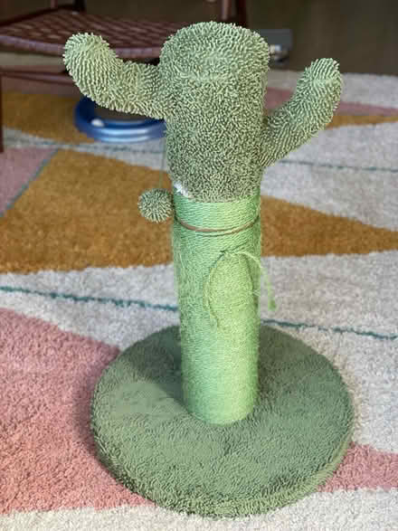 Photo of free Chewy Cactus Cat Scratcher 31” (Nob Hill, San Francisco, CA) #1