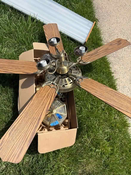 Photo of free Ceiling fans and ceiling lights (PWC) #2