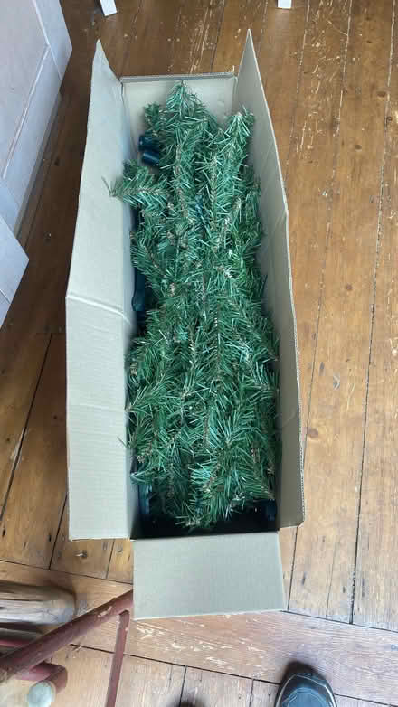 Photo of free Plastic Christmas tree (Bare LA4) #1