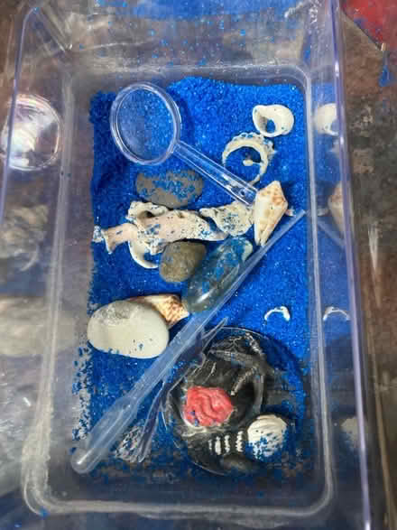 Photo of free Aqua critters (Chineham RG24) #2