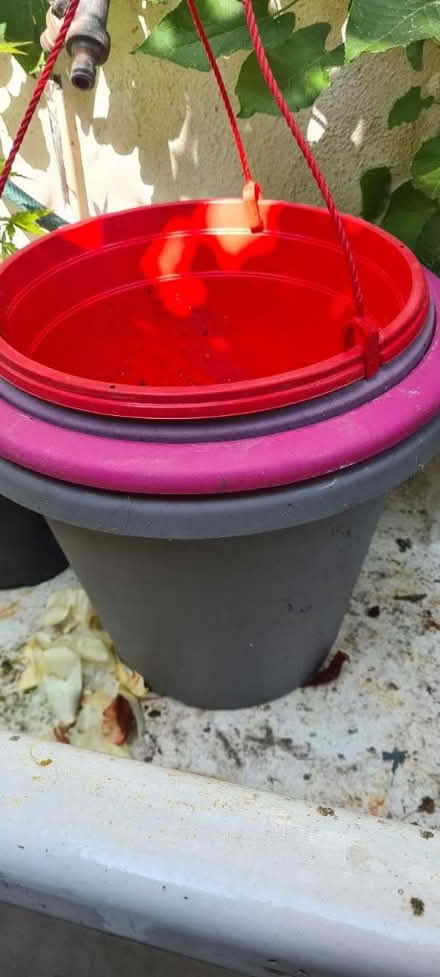 Photo of free Outside plastic plant pots (ME1) #1