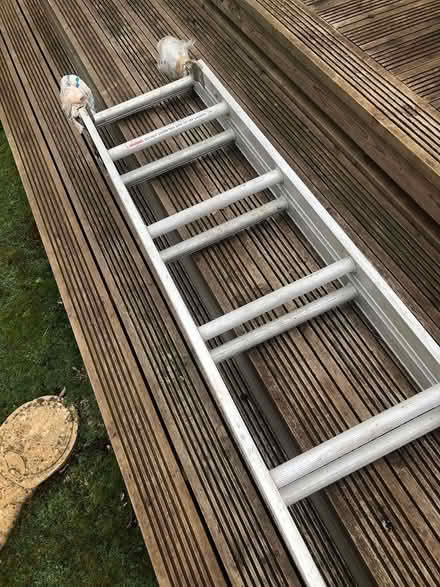 Photo of free Extending ladder (Teignmouth) #1