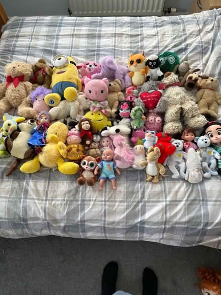 Photo of free Soft Toys (CT7) #1
