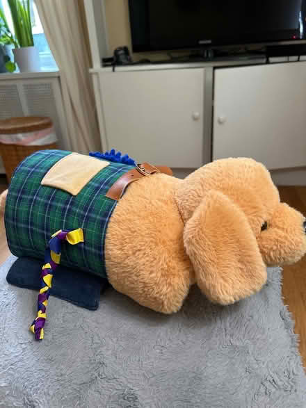 Photo of free Stuffed dog for dementia patients (Chevy Chase DC) #1