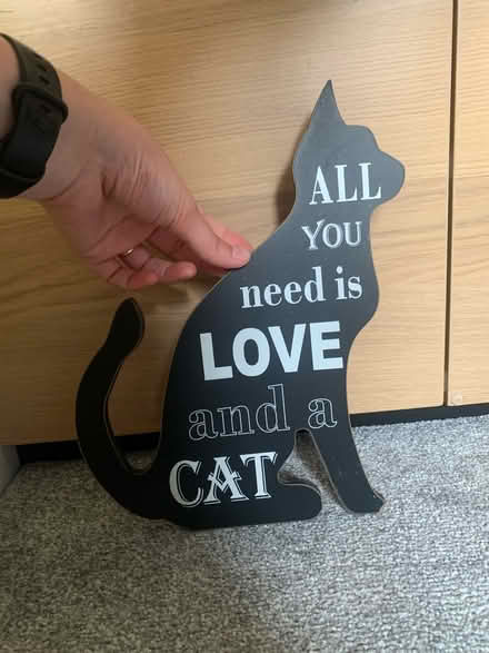 Photo of free Cat wall art (Garston L19) #1