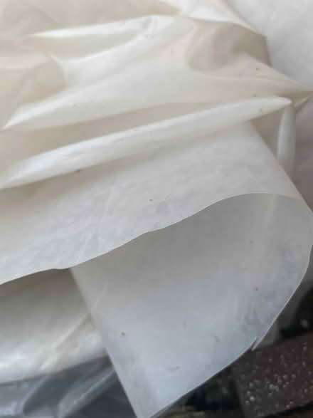 Photo of free Thick plastic sheeting (Cross Houses SY5) #2