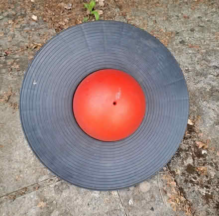 Photo of free Pogo Ball (Midsomer Norton (BA3)) #1