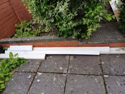 Photo of free Wood (Presteigne LD8) #1