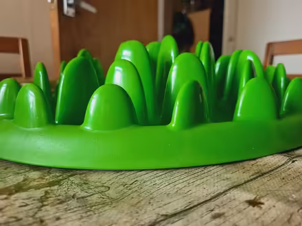 Photo of free Slow feeder for big dog (Rowhedge CO5) #3