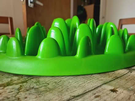 Photo of free Slow feeder for big dog (Rowhedge CO5) #3
