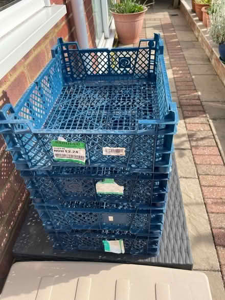 Photo of free mushroom trays (Widford CM1) #1