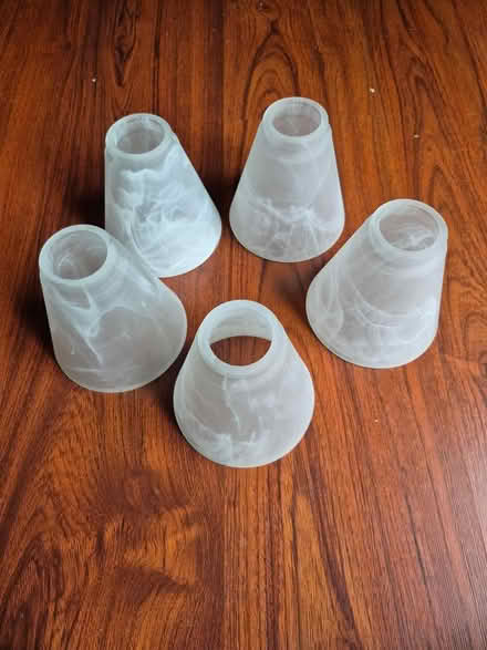 Photo of free Glass shades (Bowie) #1