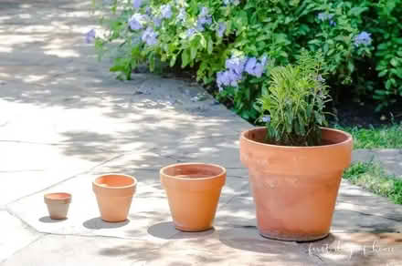 Photo of free Terracotta plant pots (x 4) (Clive Vale TN35) #1