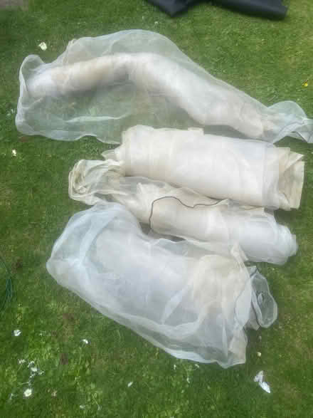 Photo of free White netting for garden/allotment- 4 pieces (Widmer End HP15) #2