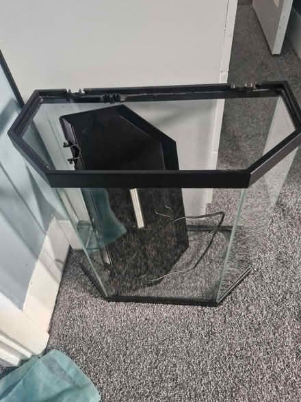 Photo of free Fish tank (Stradbroke S13) #1