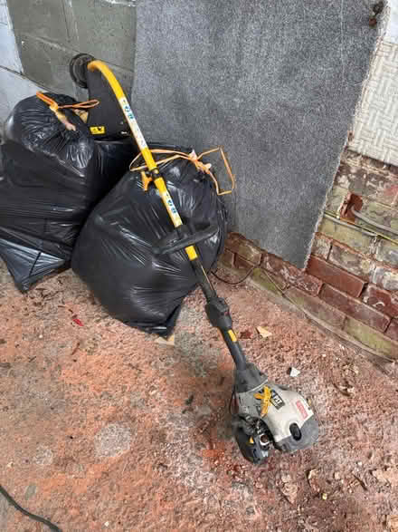 Photo of free Petrol strimmer (Longbridge B31) #1
