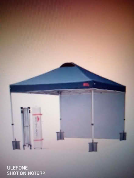 Photo of free Garden gazebo (Chingford E4) #2