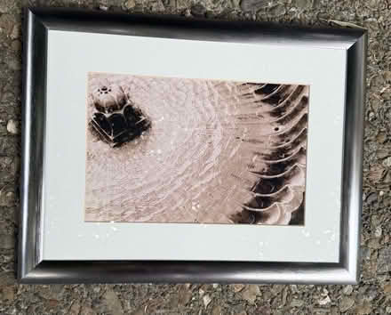 Photo of free Lovely photos from the Alhambra (Mill Valley) #1