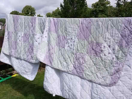 Photo of free Bed covers (Henlow SG16) #1