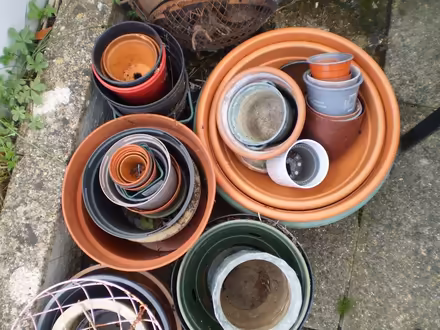 Photo of free Garden & Flower Pots (Waltham Chase SO32) #3