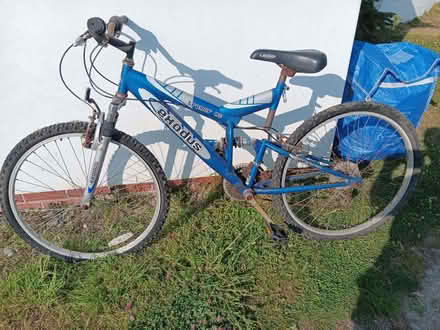Photo of free Lady's bike (Pant SY10) #3