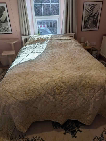 Photo of free Yellow bed spread (Prenton CH43) #1