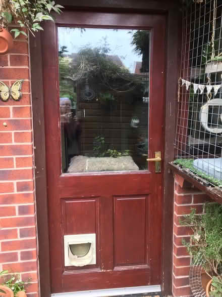 Photo of free Backdoor (Sunny Hill DE23) #1