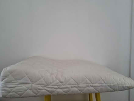 Photo of free Legs pillow (West End/Haymarket EH11) #2