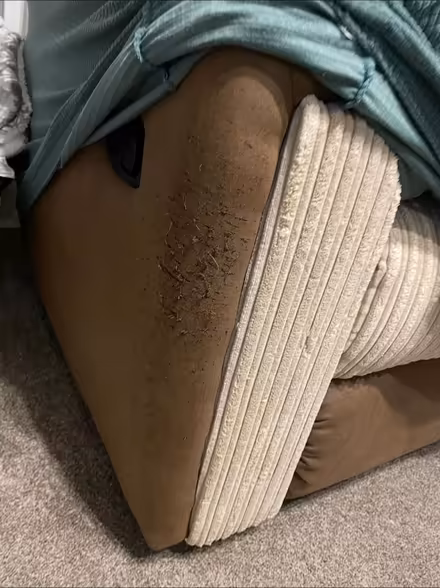 Photo of free 2 seater sofa (College Gardens CW3) #3