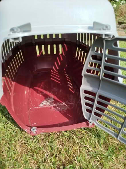 Photo of free Small animal pet carrier (Catton NR6) #3