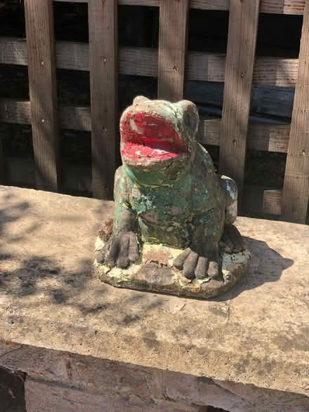 Photo of free Concrete frog garden ornament (Wood Farm OX3) #1