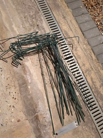 Photo of free Plant supports (Harpenden AL5) #1