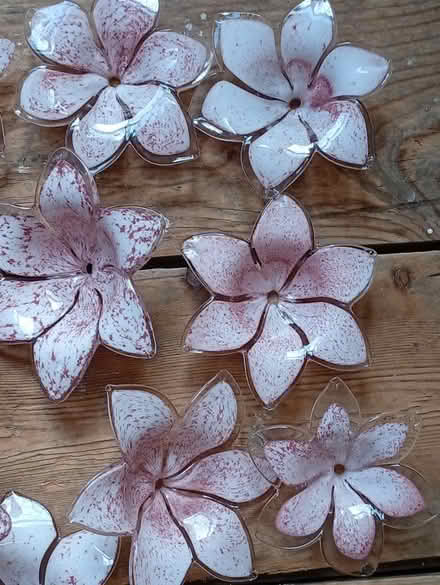 Photo of free 13 Murano Glass Flowers (Buxworth SK23) #2