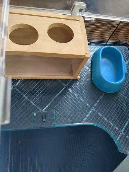 Photo of free Hamster Cage with Accessories (EN5 5HJ) #2