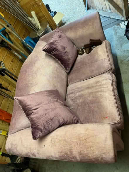 Photo of free Lilac Sofa and cushions (Botany Bay Point GU25) #1