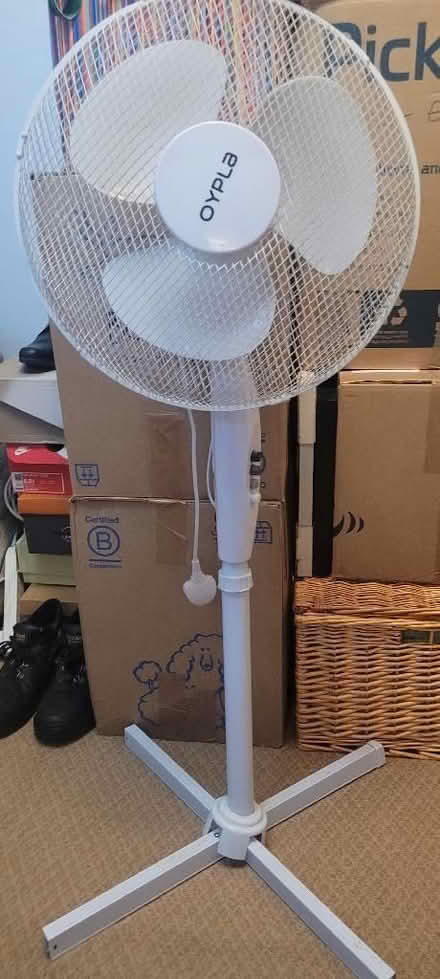 Photo of free Oscillating Fan (Overstone Lodge) #1