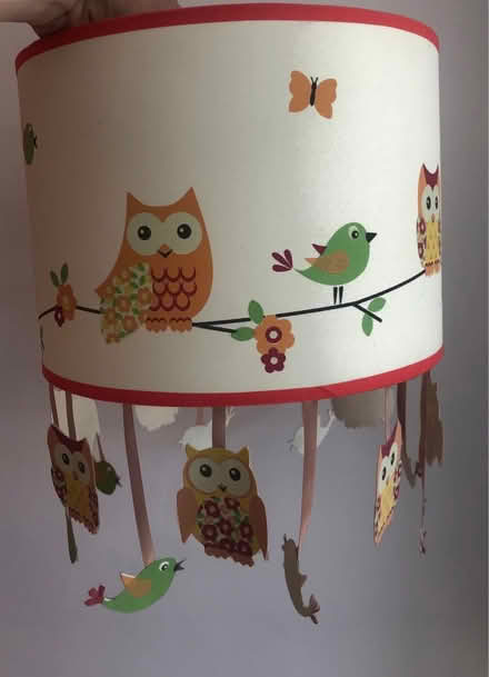 Photo of free Kids bedroom lampshade (Hatfield Peverel CM3) #1