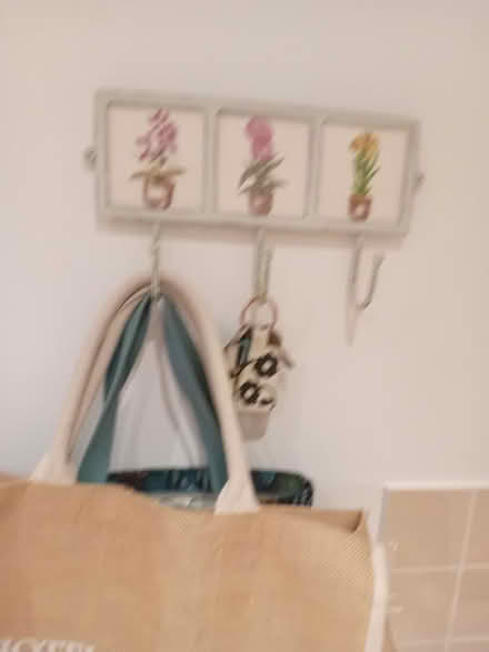 Photo of free Hook rail (Solihull UK B91 3DS) #1