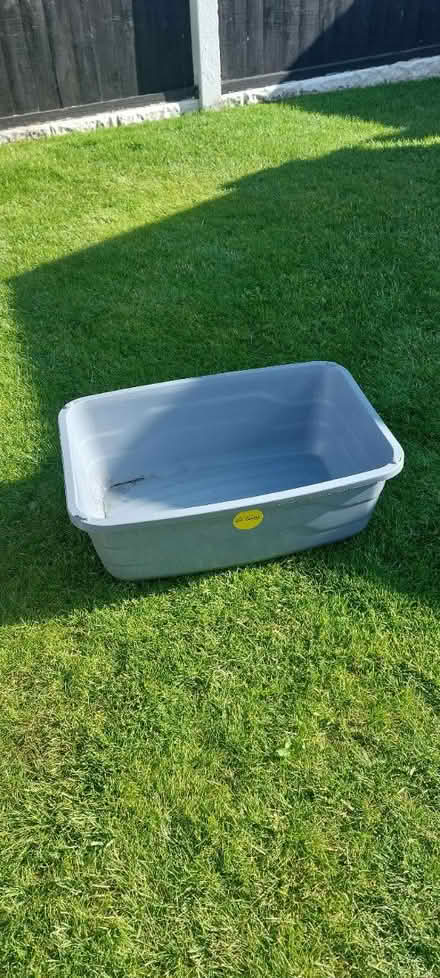 Photo of free Two Cat Lit Trays (L10) #1