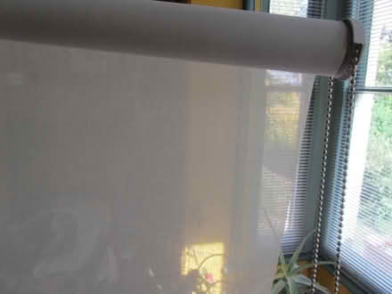 Photo of free 8 x voile privacy roller blinds (Finchley N12) #4