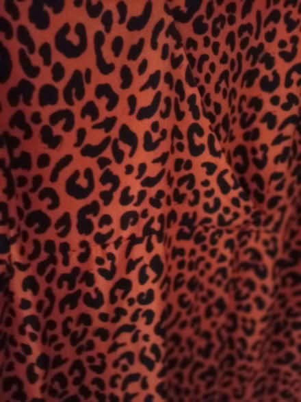 Photo of free Plus size clothing (Churchgate EN8) #4