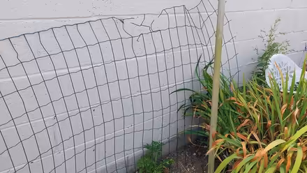Photo of free Garden wire fence (Clontarf) #2