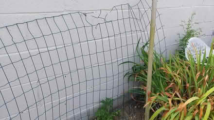 Photo of free Garden wire fence (Clontarf) #2
